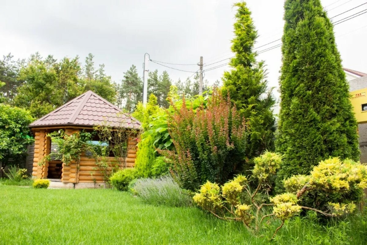 https://tambov.tgv-stroy.ru/storage/app/uploads/public/637/ef4/fb3/637ef4fb3605f391429275.png